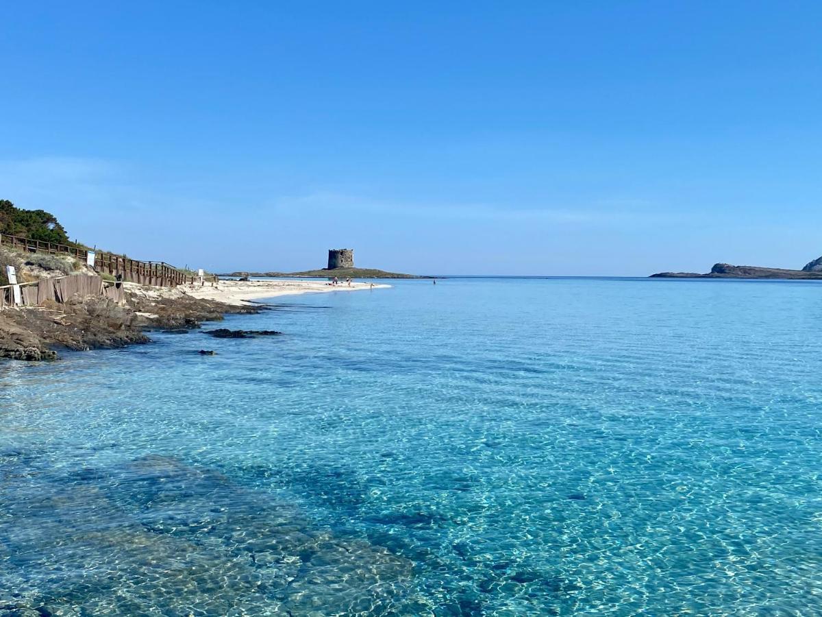 Appartement All'Ombra Dei Pini - Casa Vacanze Pet Friendly à Marina di Sorso Extérieur photo
